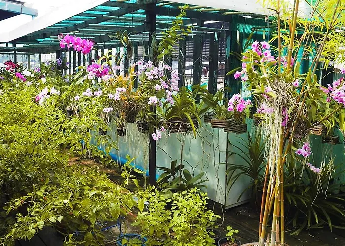 Kaloang Bangkok